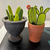 Cacti made of glass in clay pot