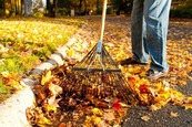 A man rakes leaves off a street