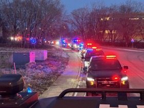 Procession of squad cars