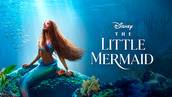 Disney's The Little Mermaid: Ariel sitting on a rock under the sea