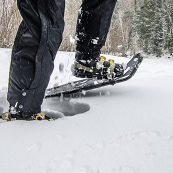 Snowshoeing