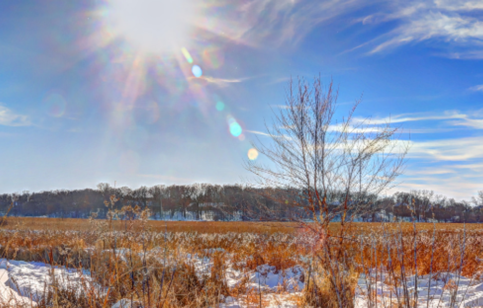 Prairie in Eden Prairie