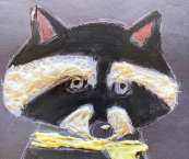 Raccoon pastel drawing on construction paper