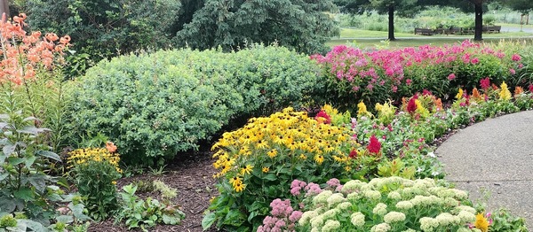 Senior Center Gardens