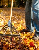 Raking fall leaves into a pile