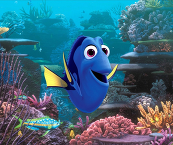 Finding Dory movie