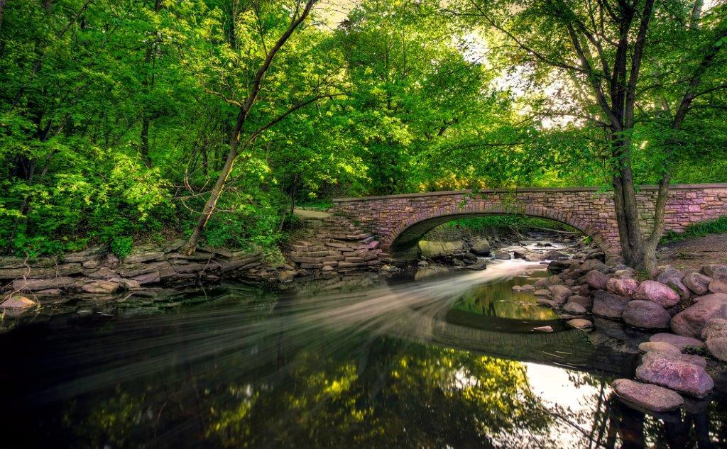 River and walk bridge in the woods