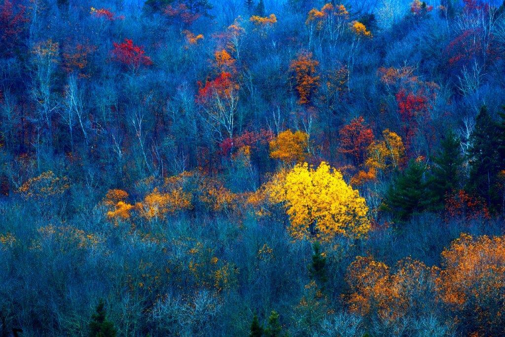 Beautiful autumn color in Jay Cooke State Park