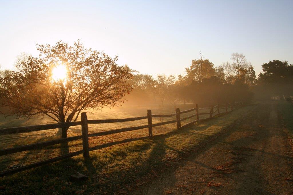 Rural Autumn sunrise