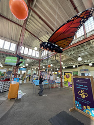 Minnesota State Fair Pollinator Day - large Monarch butterfly hanging from the ceiling
