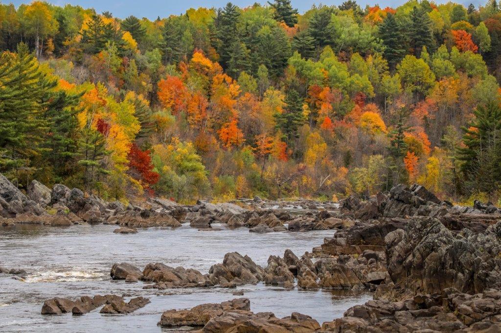 Autumn splender over flowing river rapids on the St Louis River with colorful Autumn trees at Jay Cooke State Park in Northern Minnesota