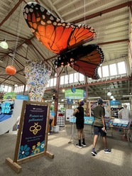 Pollinator Day at the MN State Fair 2025.  Large monarch butterfly display hanging from the ceiling.