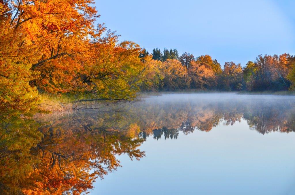 fall colored trees reflecting on the lake