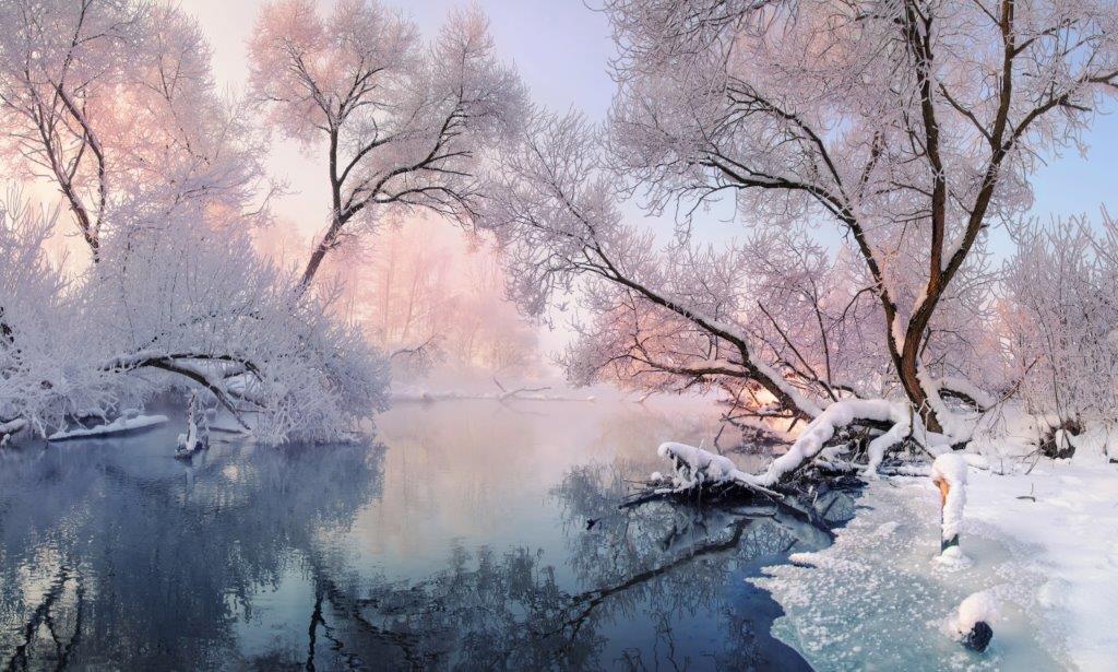 Mostly calm winter river, surrounded by trees covered with hoarfrost and snow that falls on a beautiful pink morning light.