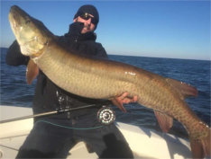 Big Muskie on Lake Mille Lacs