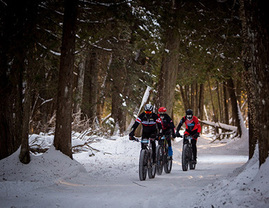 Norpine Fat Bike Classic