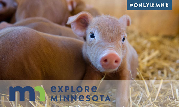 Say 'Awww' for Spring Babies at Minnesota Zoos