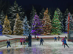 The Roseville Oval lit up for the holidays