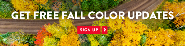 Get free fall color updates