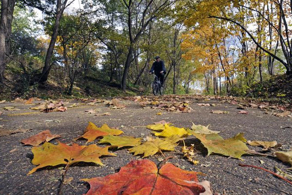 Colorful leaves dot the trail and a man bikes in the background