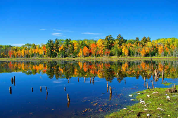Fall color at Voyageurs National Park