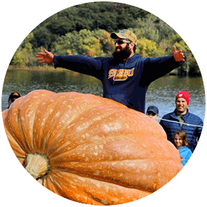 Image of Giant Pumpkin 