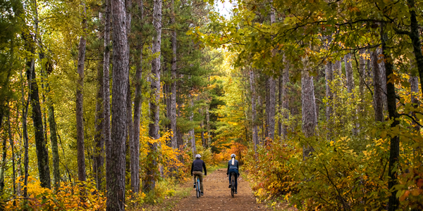 fall color at chippewa national forest