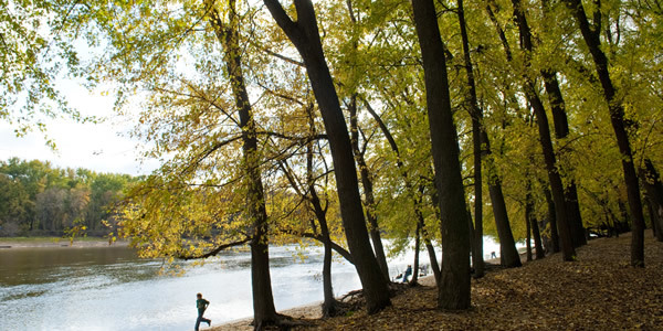 fall color at hidden falls park in st. paul