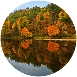 Fall color along the St. Croix River