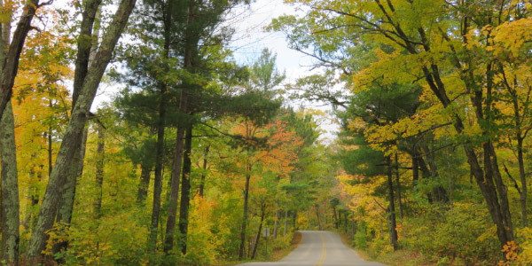 image of fall color at Lake Itasca State Park