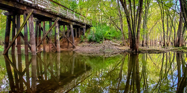 Backwaters at Afton State Park