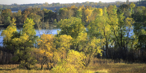 Minnesota River at Lac Qui Parle State Park