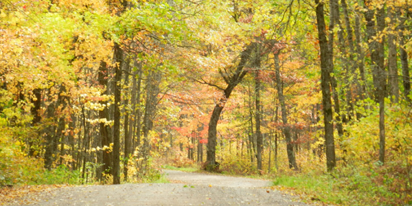 Fall color at Mille Lacs Kathio State Park 