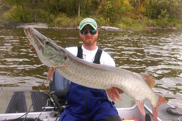 image of Fall muskie pulled from Lake of the Woods by Travis Madrazo