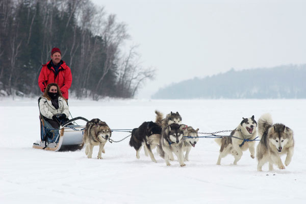 Dog sledding with a guide service