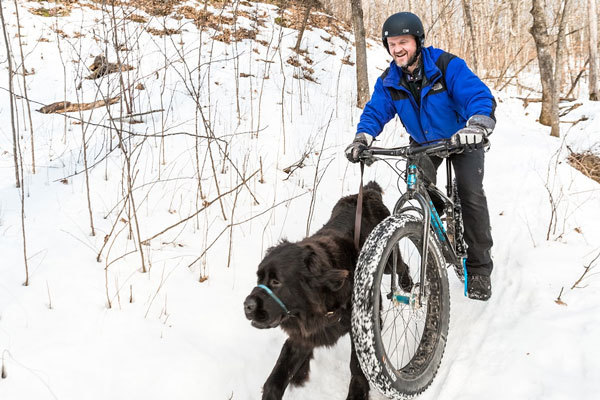 Winter fat biking with dog