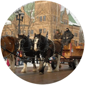 Horse-drawn carriage