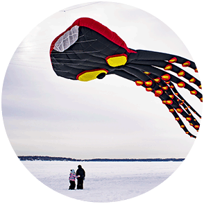 Octopus-shaped kite and spectators