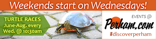 Turtle Races in Perham, Minnesota