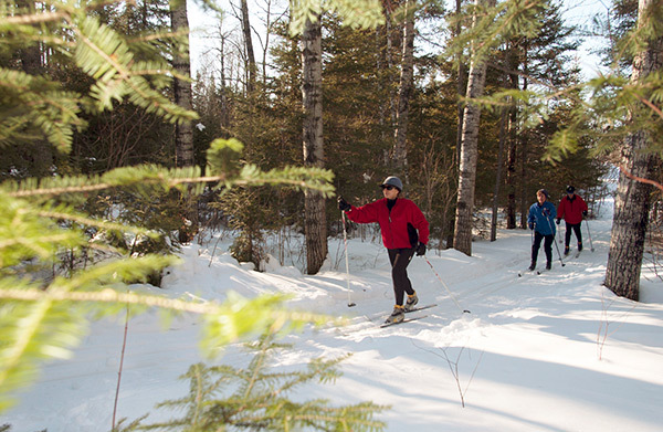 Cross-country skiing near Ely