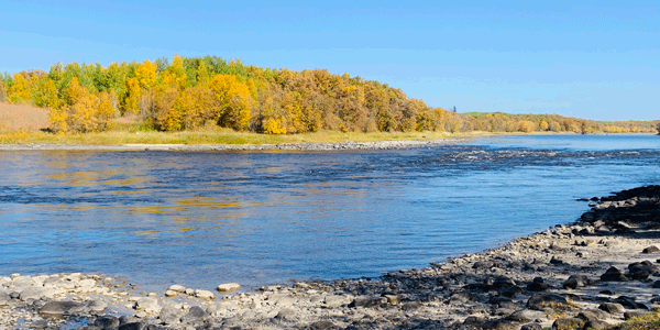 Fall color along the Rainy River from Franz Jevne's shoreline - MN DNR