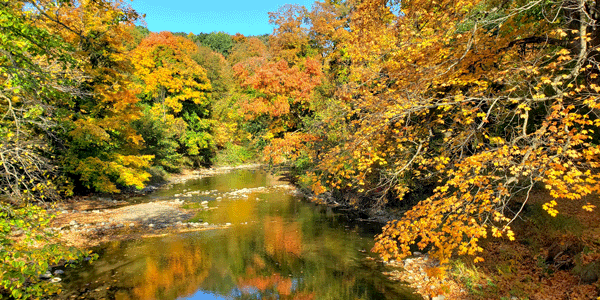 Fall colors at Camden State Park 