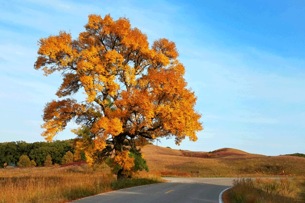 Stunning fall color Glacial Lakes State Park
