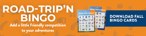 Download fall Road-Trip'n Bingo cards