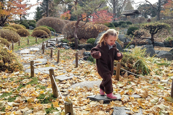 image of a child during Arbooretum at the Minnesota Landscape Arboretum