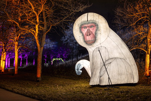 image of Nature Illuminated Drive-Through Holiday Lights Display at the Minnesota Zoo