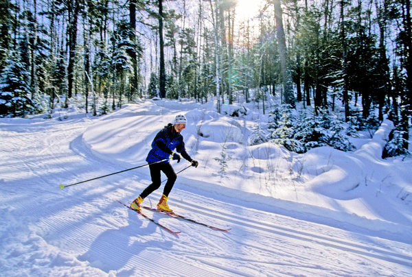 image of a cross-country skier on a Gunflint Trail ski trail