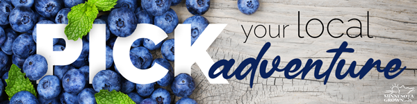 Fresh blueberries with text reading 'Pick your local adventure'