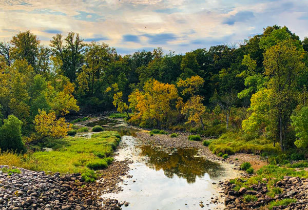 image of fall color at Lake Bronson State Park