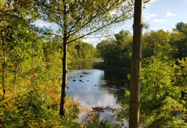 Image of fall color from the Kettle River Overlook at St. Croix State Park
